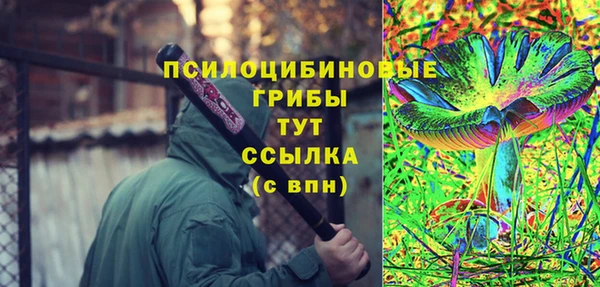 тгк Медногорск