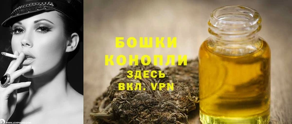 тгк Медногорск