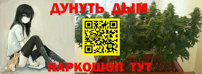 Альфа ПВП Берёзовский