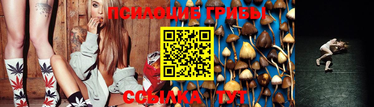 Галлюциногенные грибы GOLDEN TEACHER Михайловск